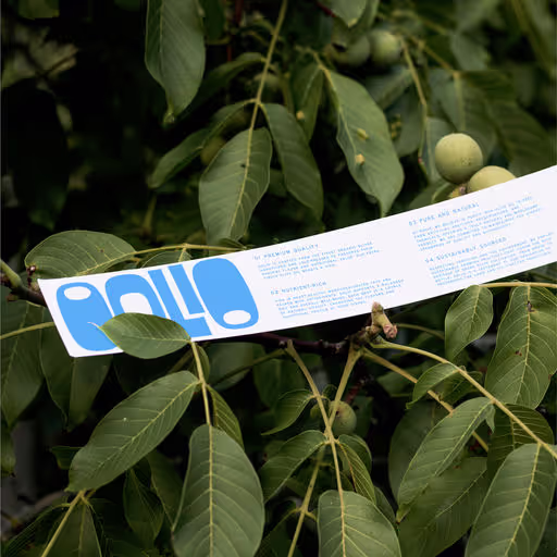 OOLIO – Food & Beverage identity by mihaela, additional view 5 of 9