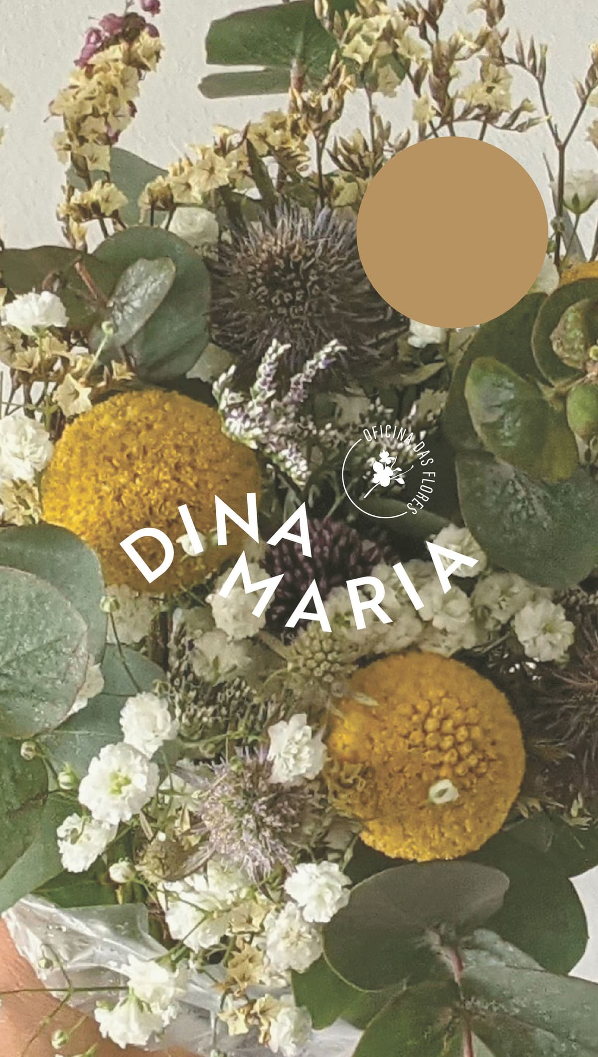 Dina Maria