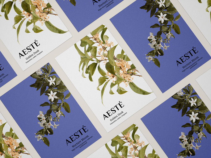Aesté – Beauty & Personal Care identity by mayumis, additional view 8 of 9