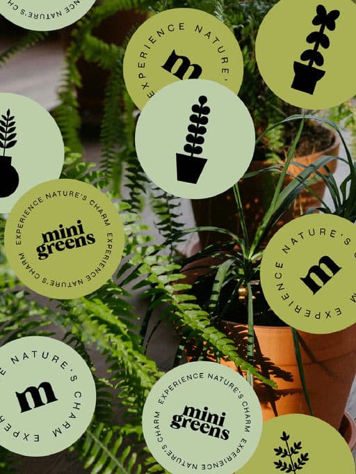 Mini Greens - Experience Nature's Charm
