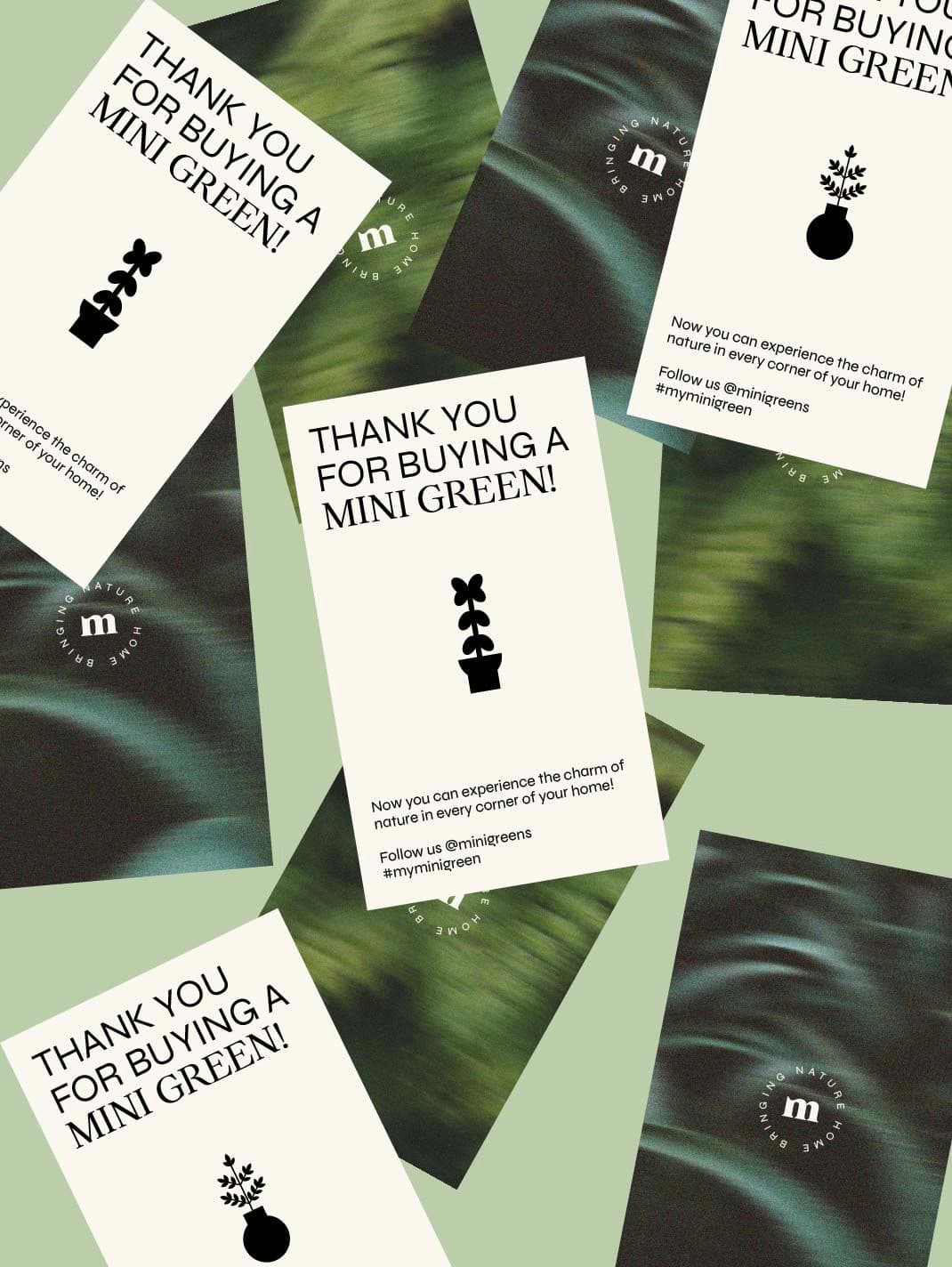 Mini Greens - Experience Nature's Charm