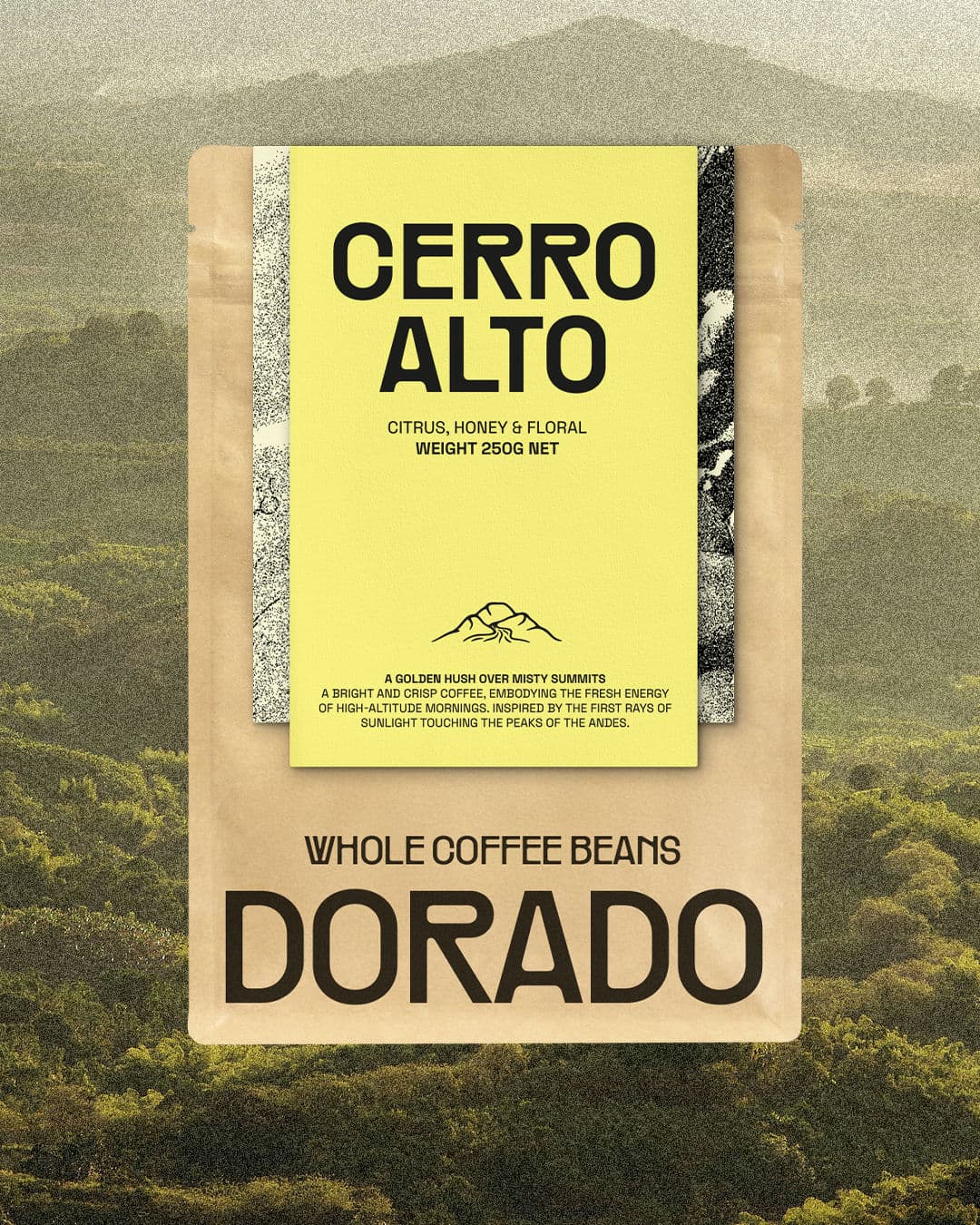 Dorado - Whole Coffee Beans