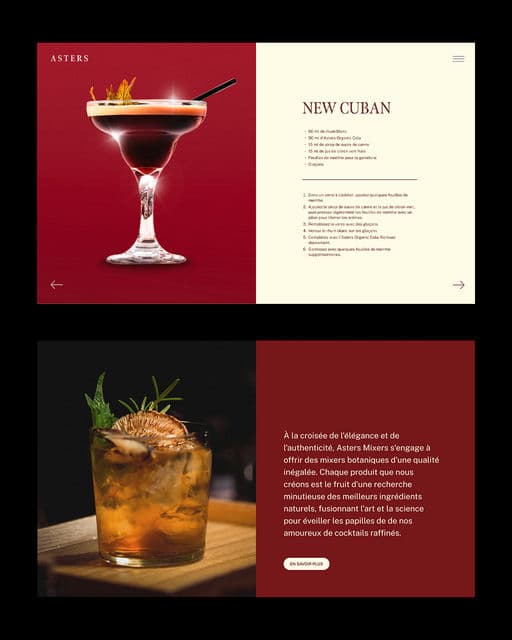 Asters Mixers – Food & Beverage identity by wylliamlach, additional view 9 of 9