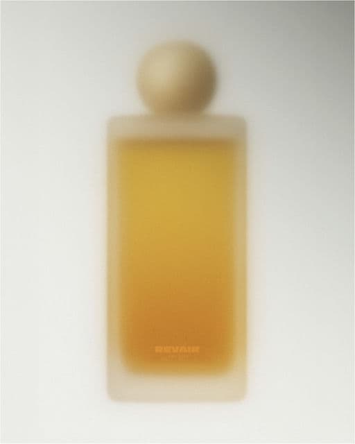 Revair – Other identity by anni-studio-graphique, additional view 4 of 9