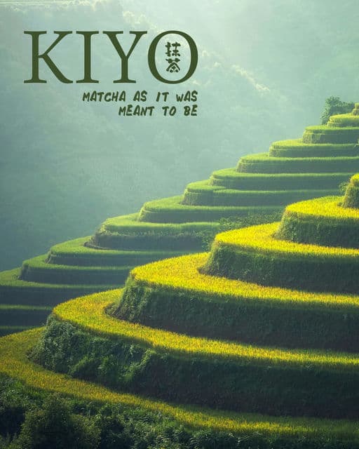 Kiyo Matcha