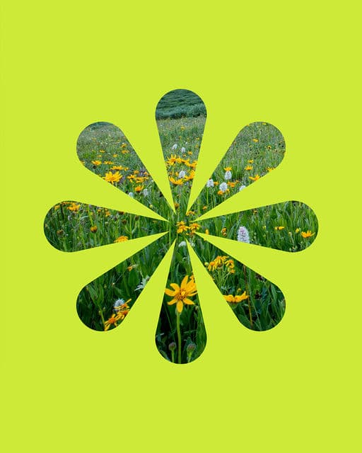 Meadow