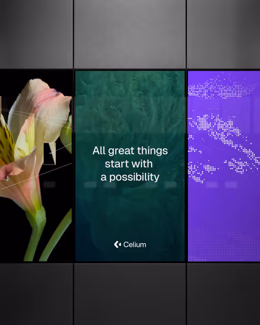 Celium – Technology identity by xander, additional view 6 of 9