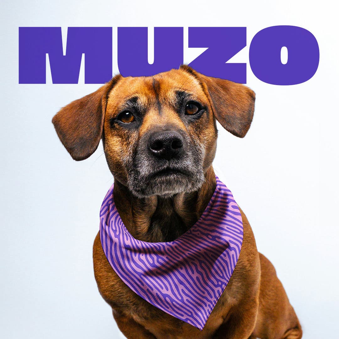 Muzo