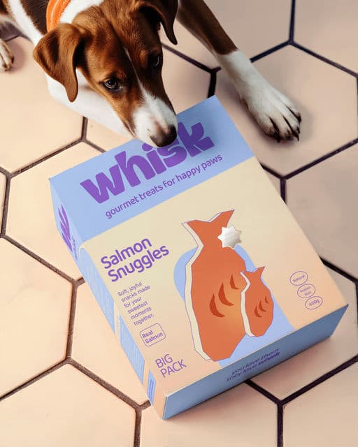 Whisk
