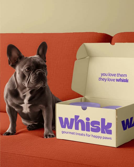 Whisk