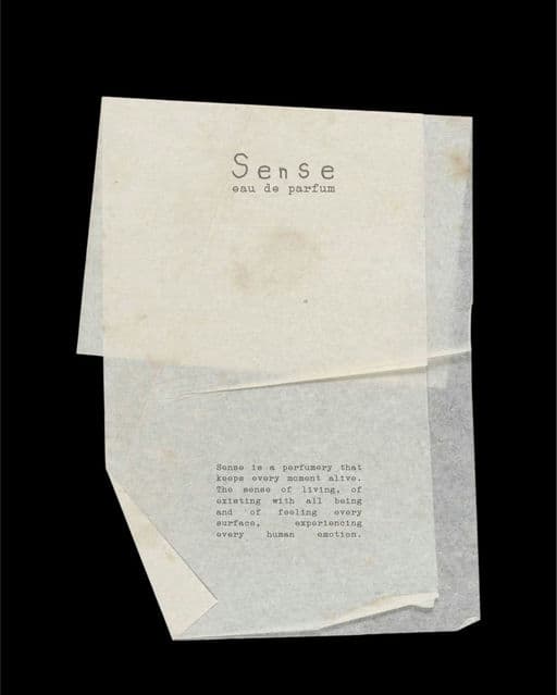 Sense – Beauty & Personal Care identity by Monicathedesigner, additional view 5 of 9