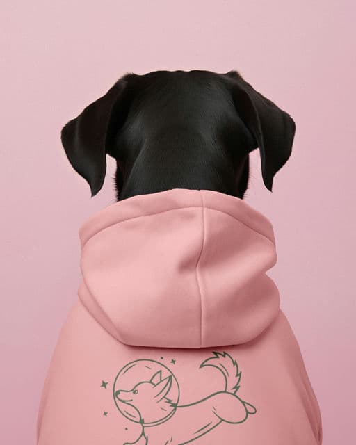 Pawsh – Pet identity by diisshaakdesigns, additional view 7 of 9