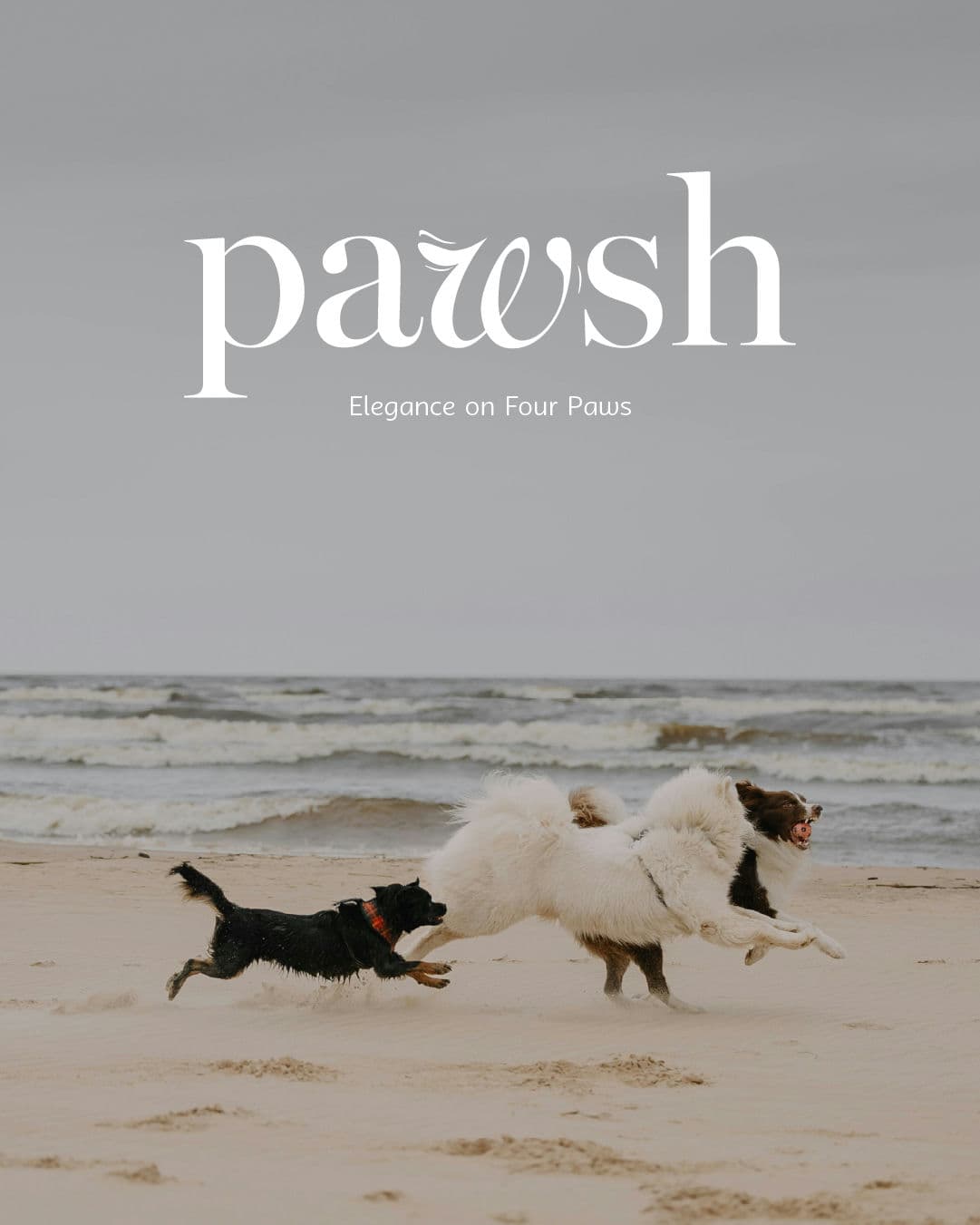 Pawsh