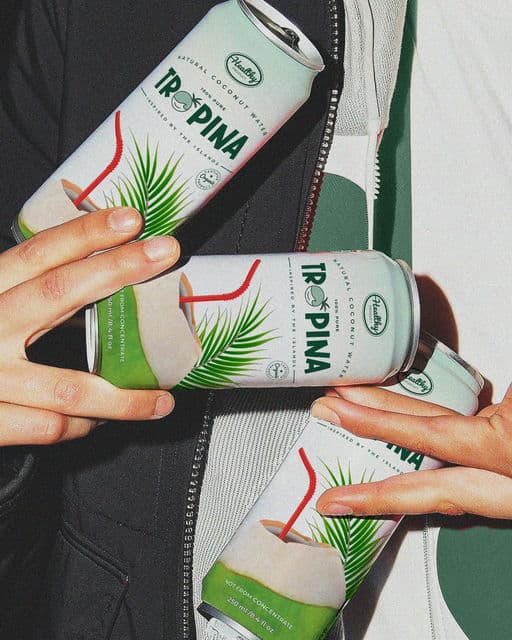 Tropina | Visual Brand Identity Design