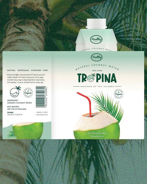 Tropina | Visual Brand Identity Design