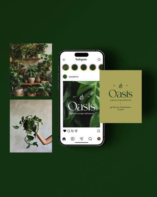 Oasis