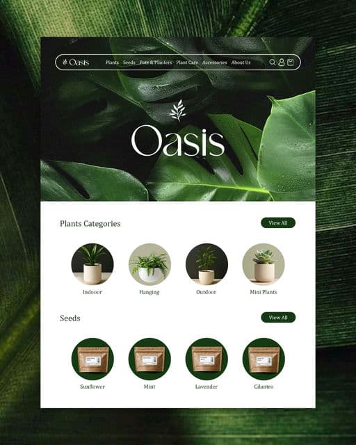 Oasis