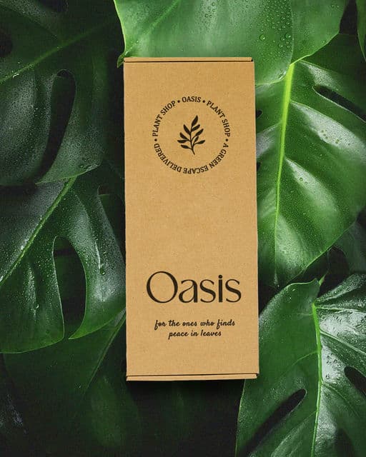 Oasis