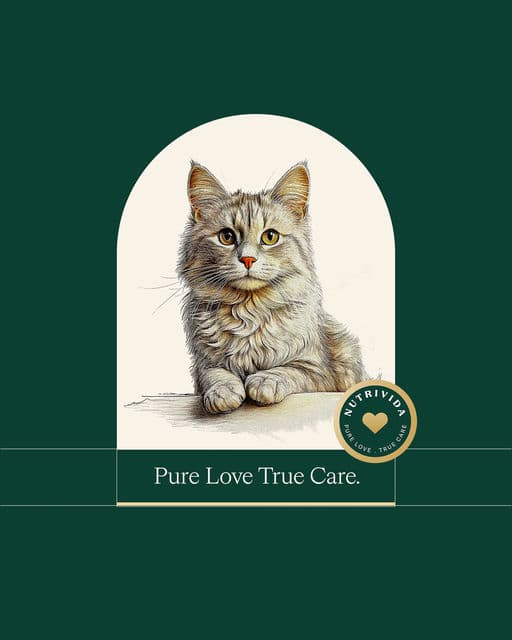 Nutrivida – Pet identity by kurka, additional view 4 of 9