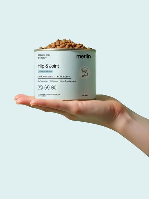 Merlin Dog Supplement