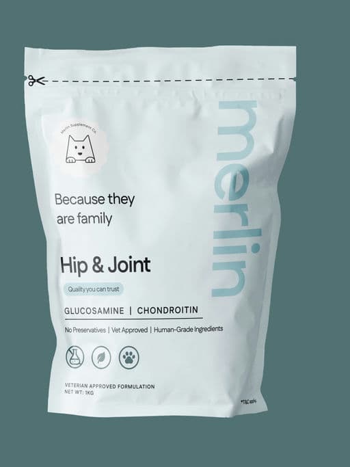 Merlin Dog Supplement – Food & Beverage identity by sumit.branding, additional view 6 of 9