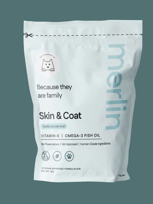 Merlin Dog Supplement – Food & Beverage identity by sumit.branding, additional view 5 of 9
