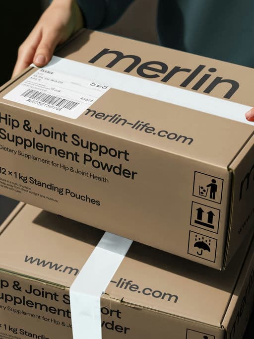 Merlin Dog Supplement – Food & Beverage identity by sumit.branding, additional view 8 of 9