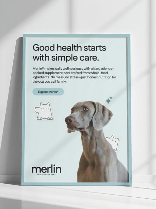 Merlin Dog Supplement