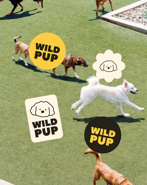 WIldpup – Pet identity by Abby, additional view 5 of 5