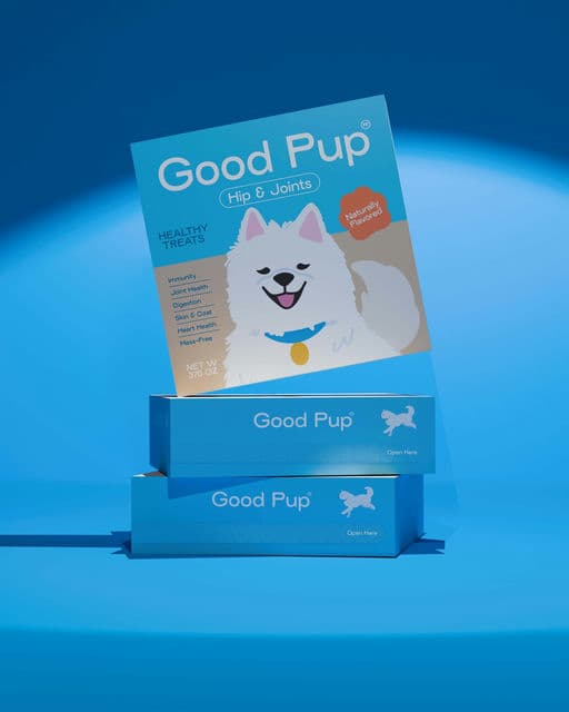 Good Pup – Pet identity by graphicarlie-a0a54, additional view 2 of 9