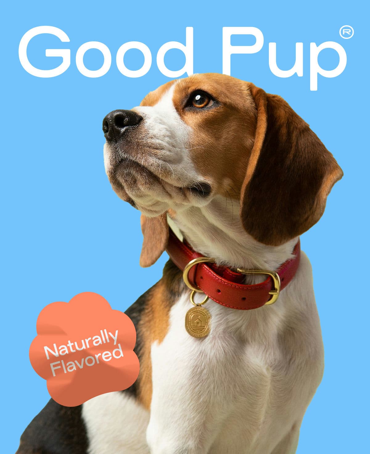 Good Pup