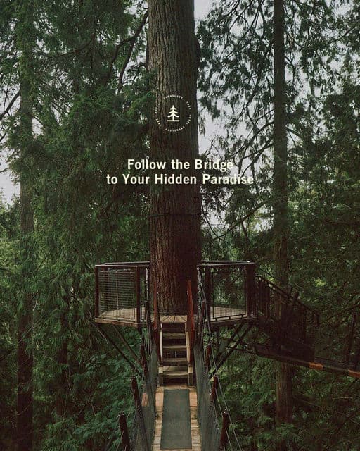 Skogsloft Tree Hotel