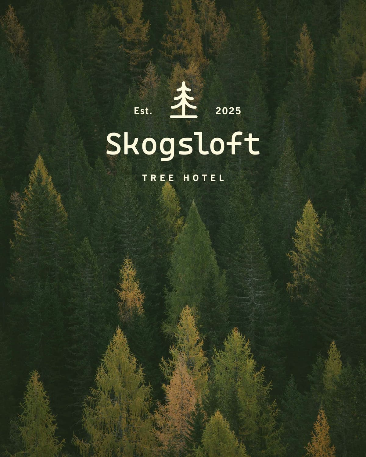 Skogsloft Tree Hotel