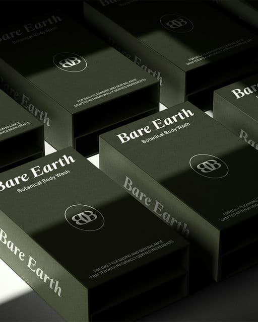 Bare Earth