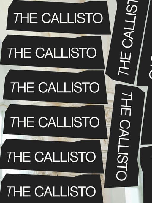 The Callisto – Other identity by corzae, additional view 6 of 9