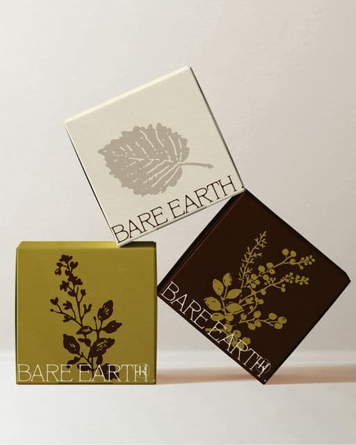 Bare Earth
