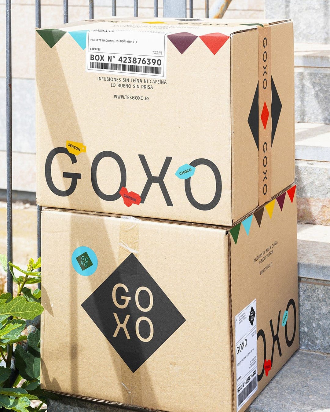 Goxo Tea