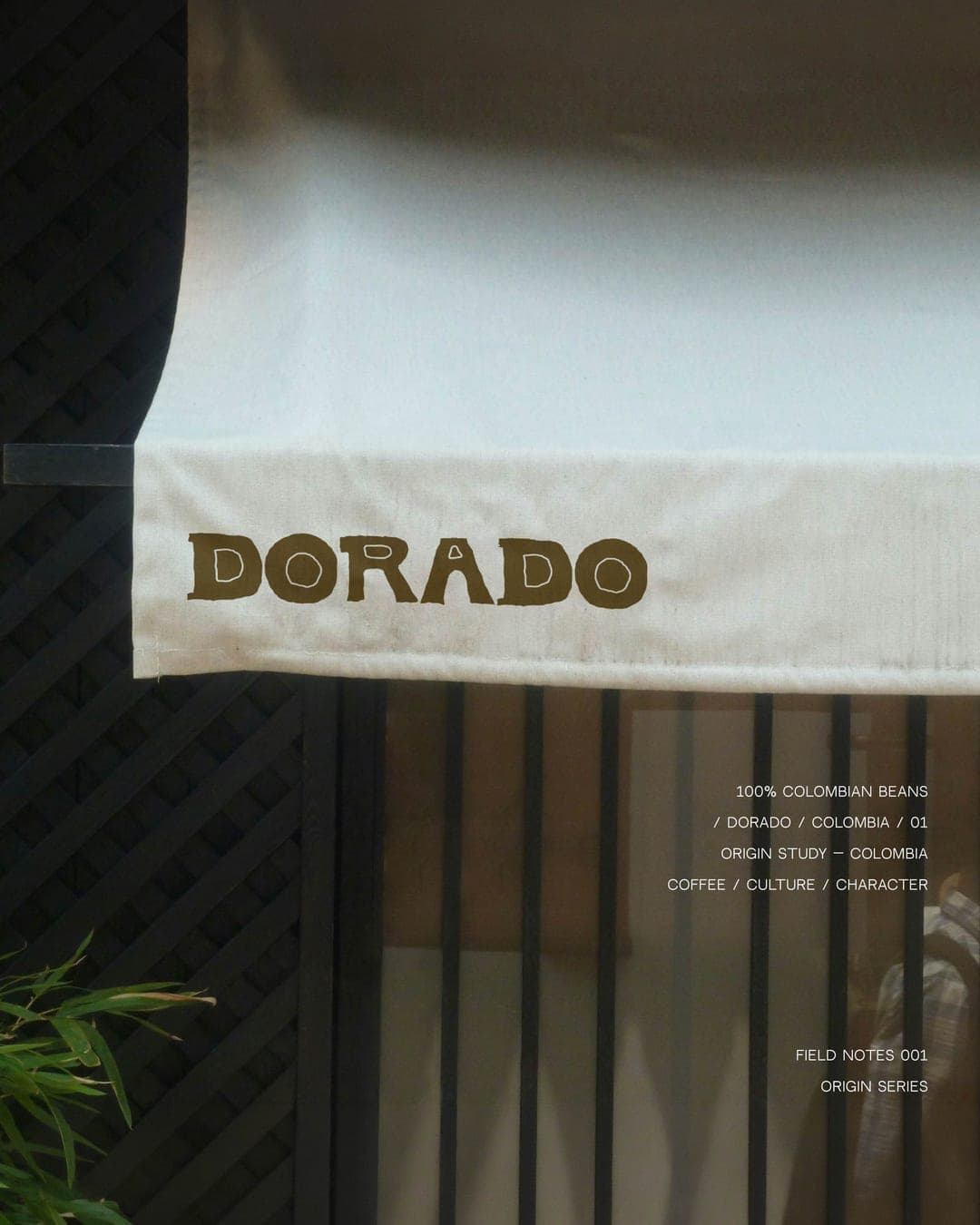 DORADO