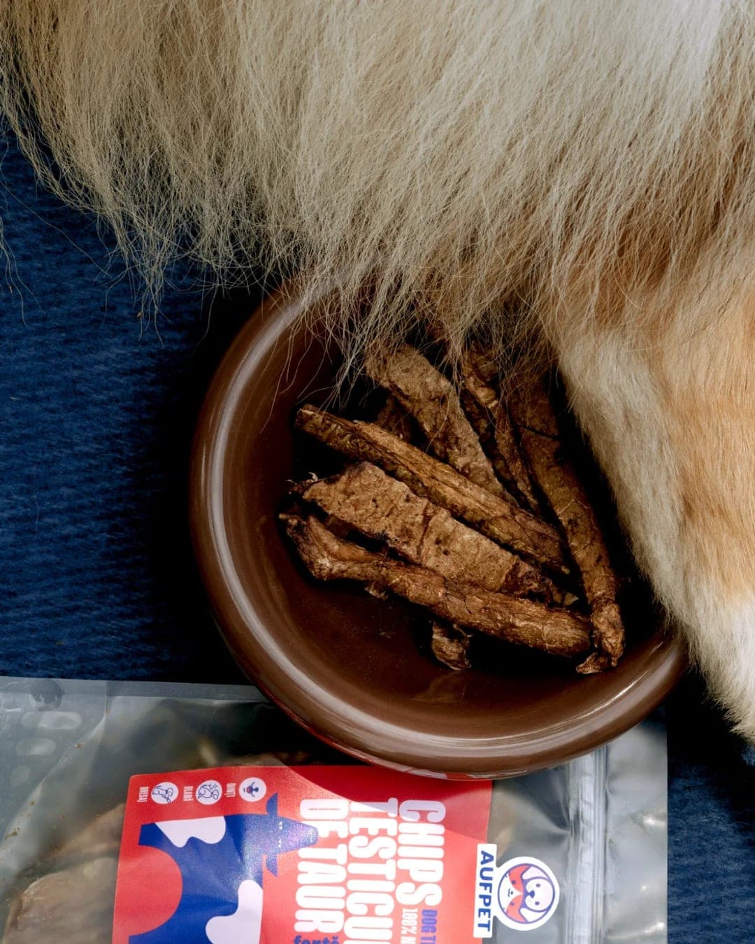Aufpet – Pet identity by Anta Petrenco, additional view 3 of 10