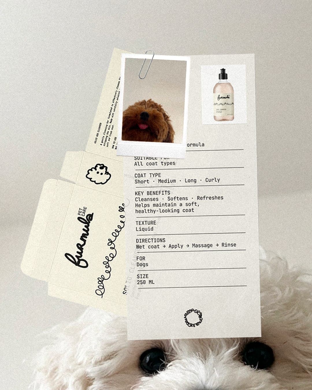 FURMULA – Pet identity by Opime Studio, additional view 8 of 8