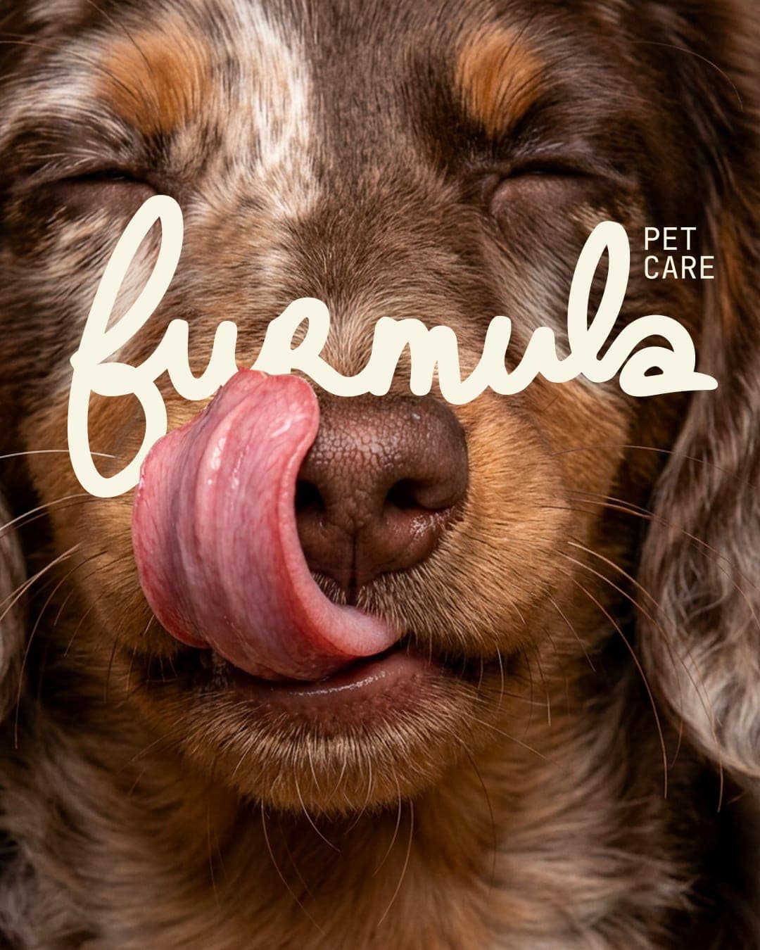 FURMULA – Pet identity by Opime Studio, additional view 5 of 8