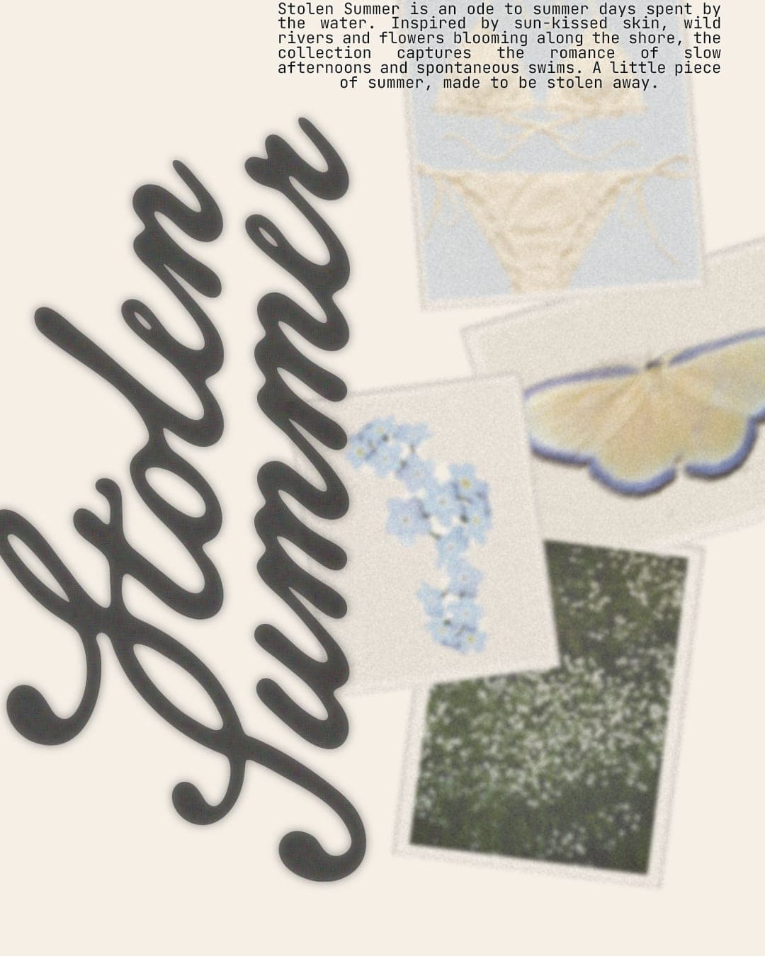 STOLEN SUMMER