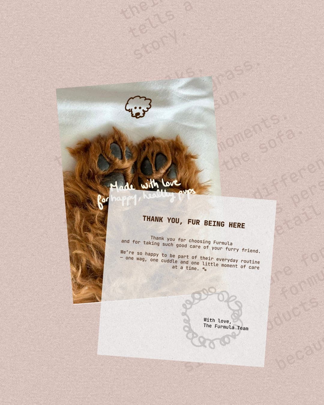 FURMULA – Pet identity by Opime Studio, additional view 4 of 8