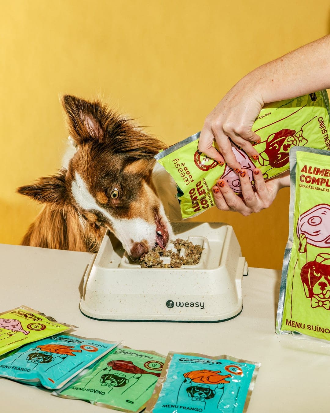 Weasy Food – Pet identity by Morfa Brands