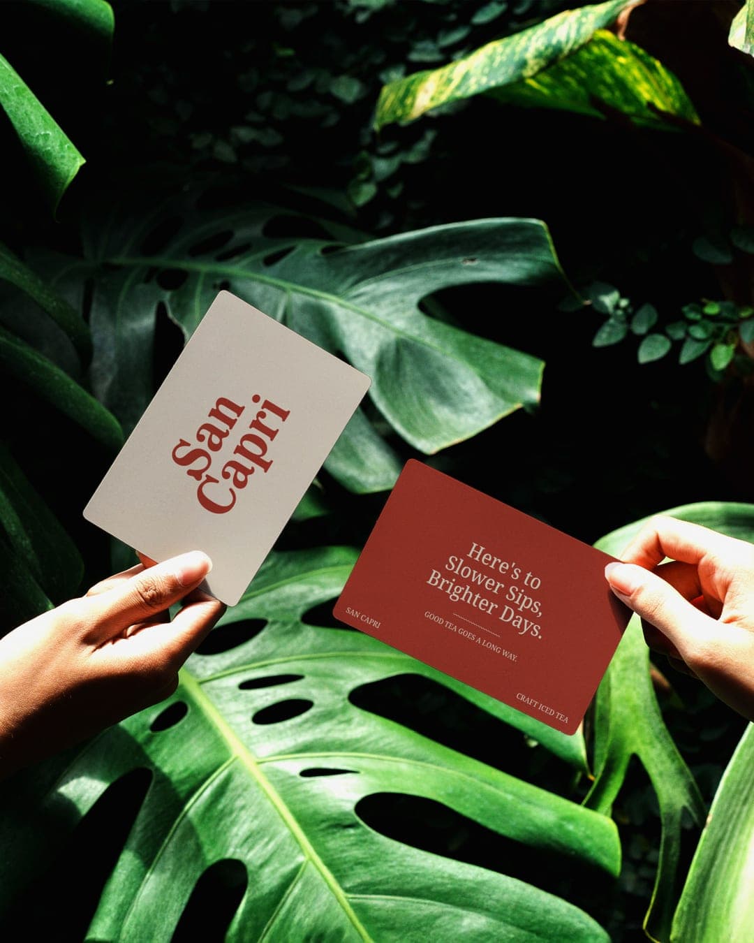 San Capri – Food & Beverage identity by Husain Studio, additional view 8 of 9