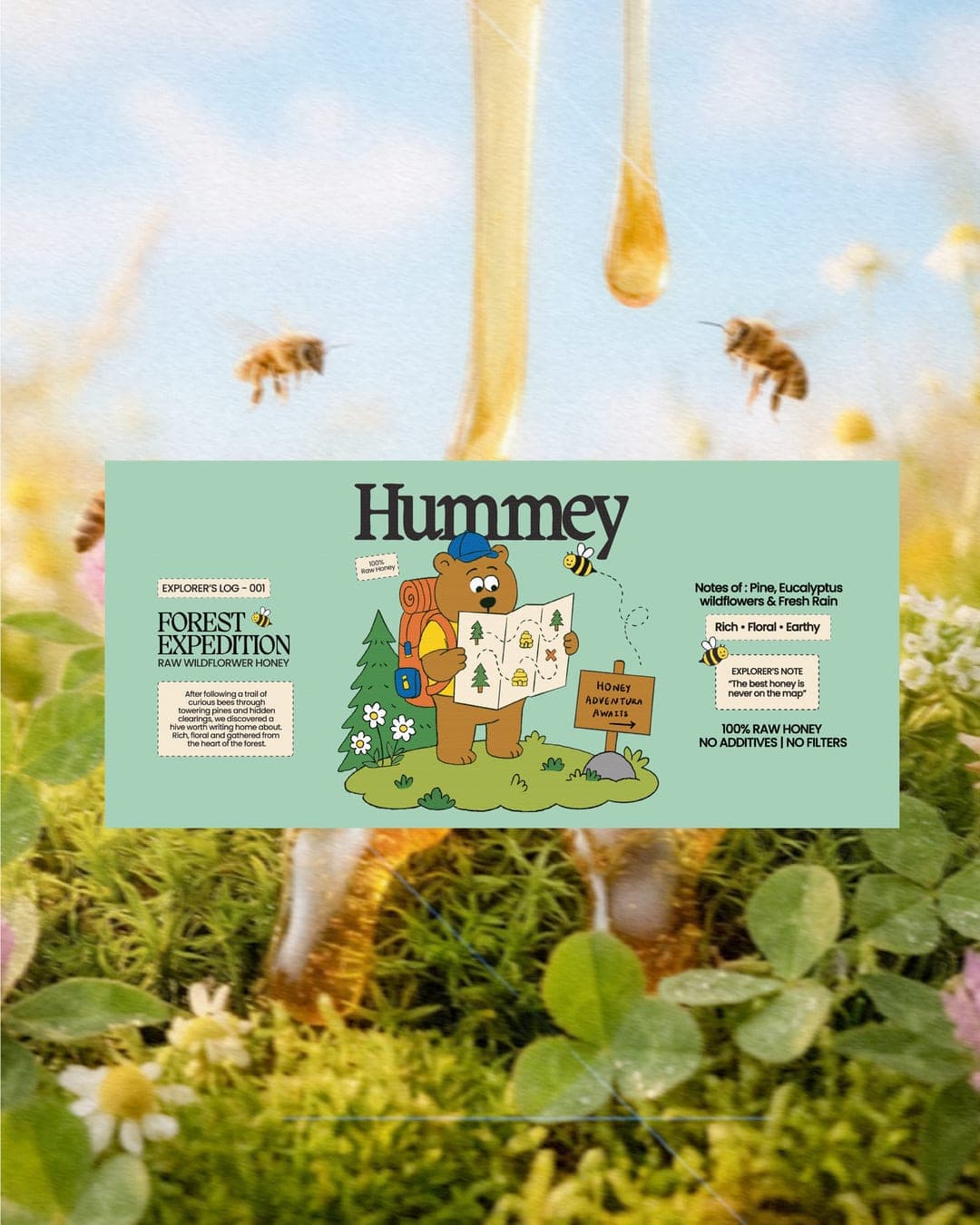 Hummey - honey brand – Food & Beverage identity by Arshmah Designs, additional view 8 of 8