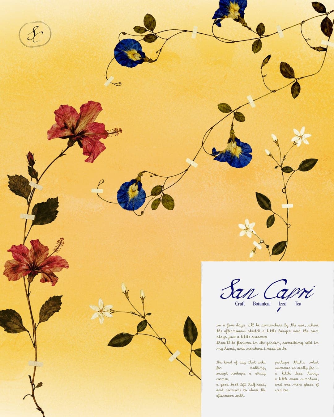 San Capri - Beverage Branding