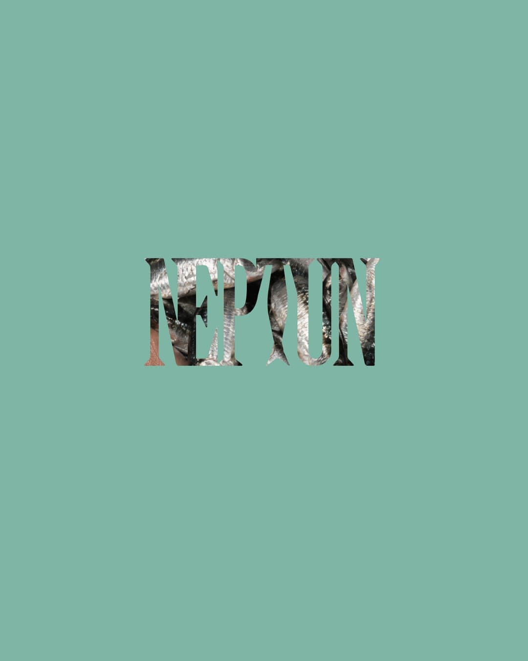 Neptun – Food & Beverage identity by draguciana, additional view 4 of 9