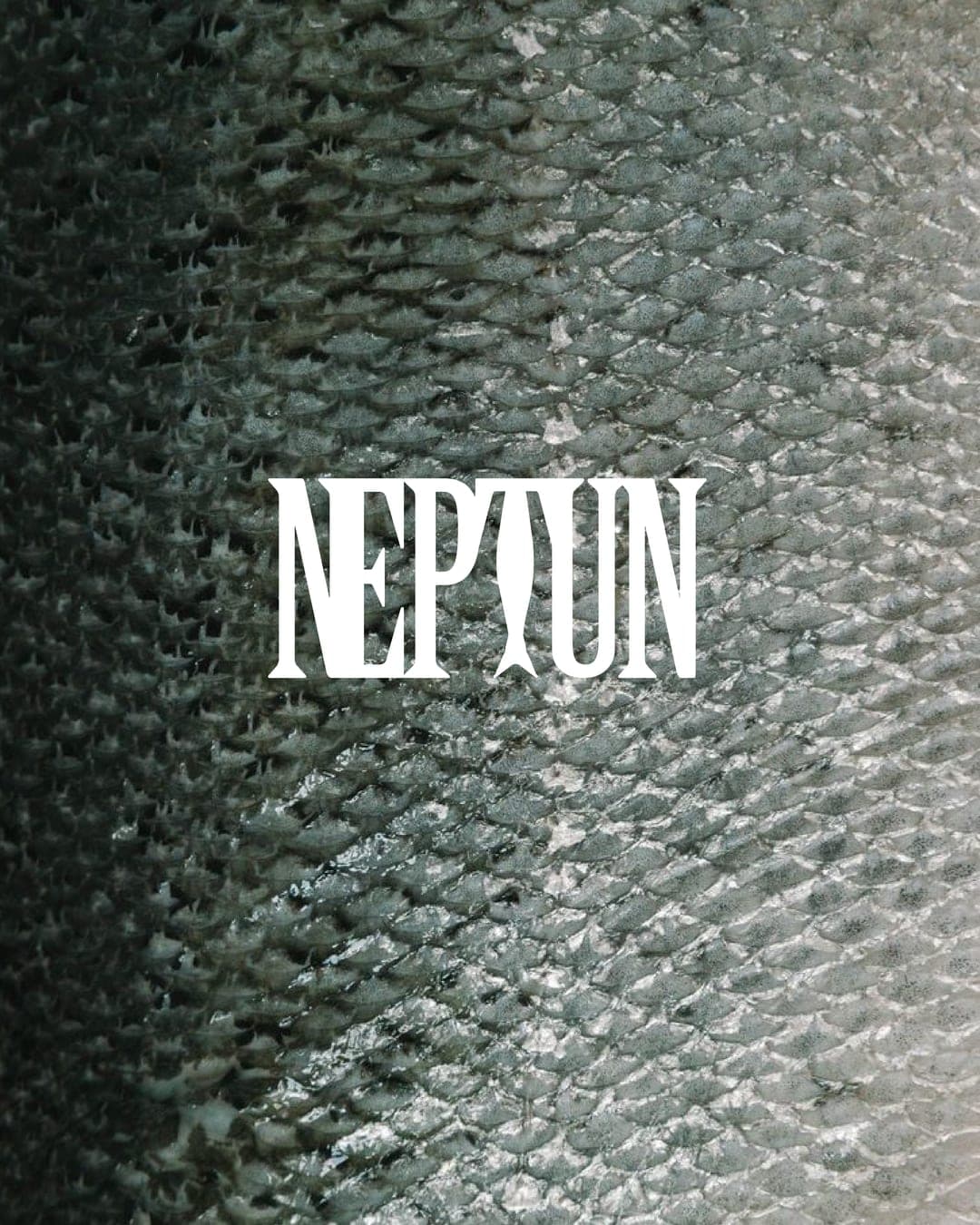 Neptun – Food & Beverage identity by draguciana, additional view 9 of 9